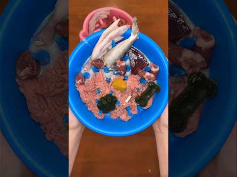 Making my 3 pups raw dog food! 🦴🫀 #shorts