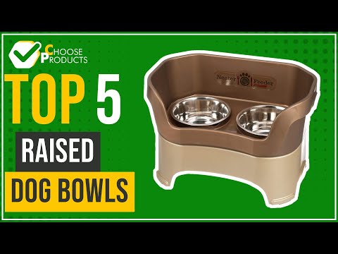 Raised dog bowls - Top 5 - (ChooseProducts)