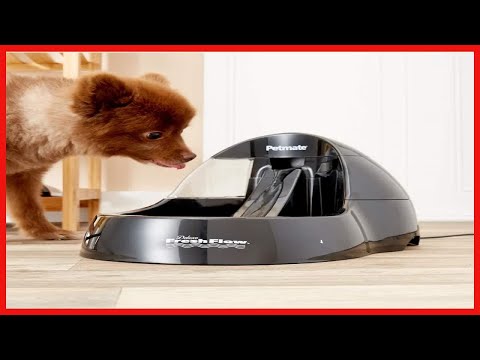 Petmate Deluxe Fresh Flow Dog and Cat Water Fountain 3 Sizes