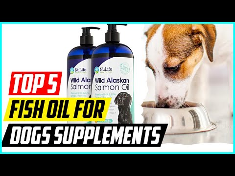 5 Best Fish Oil for Dogs Supplements