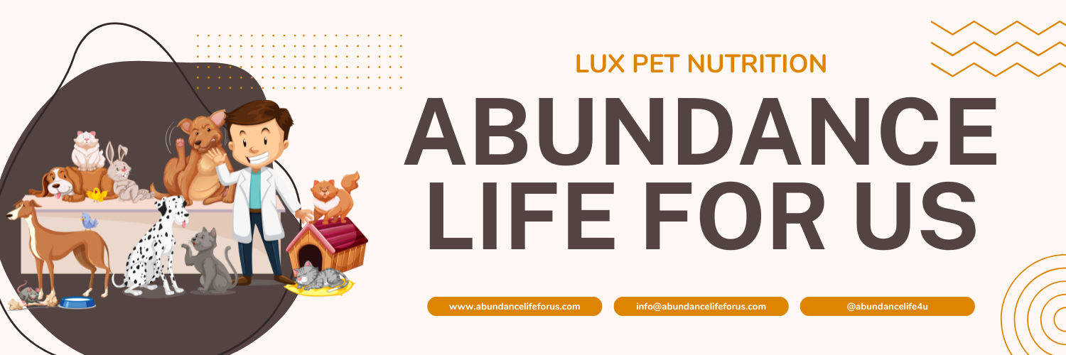 Abundance Life For Us